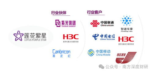 從調味品到AI新勢力 蓮花控股業績領跑同行，科技版圖再落信息技術咨詢服務關鍵一子