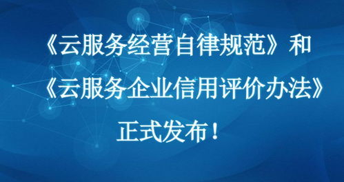 云服務商技術合作檢查與信用評級 信息技術咨詢服務新篇章